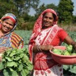 Vedanta Aluminium’s Jeevika Samriddhi Project Empowers Agri-Entrepreneurs in Odisha’s Jharsuguda
