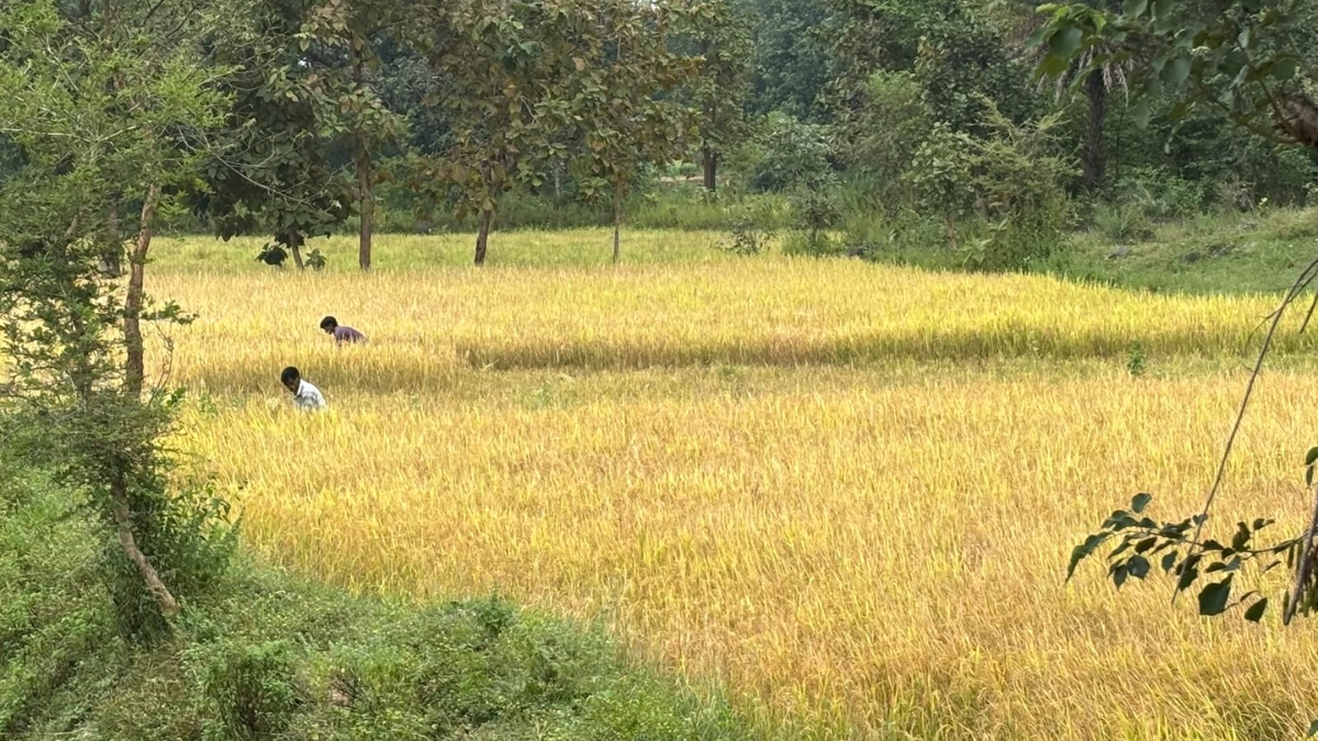 LongStraw Carbon Brings Climate Action and Rural Employment Together in Odisha’s Tribal Heartland
